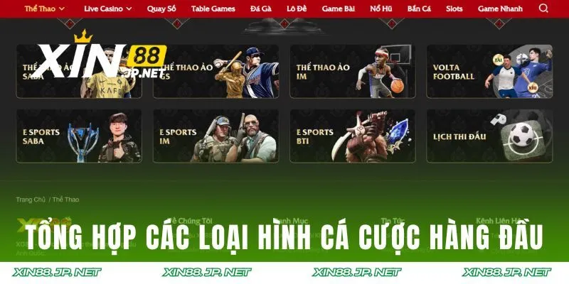Tổng hợp các loại hình cá cược hàng đầu
